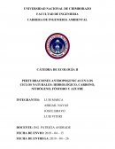PERTURBACIONES ANTROPOGENICAS EN LOS CICLOS NATURALES: HIDROLÓGICO, CARBONO, NITRÓGENO, FÓSFORO Y AZUFRE