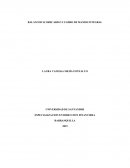 APLICACIÓN DEL BCS EN LA EMPRESA TRANSPORTE Y GRÚAS SAS