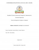Bebida energética en base a la Guayusa