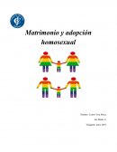 Matrionio y adopcion homosexual
