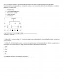 Taller genética