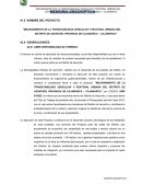 Mejoramiento de la transitabilidad vehicular y peatonal urbana del distrito de Asunción