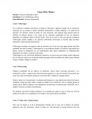 Caso Dirty Money. Caso1: Volkswagen