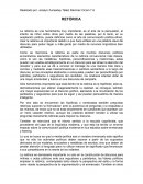 Retorica en la política