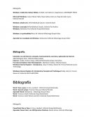 Bibliografía. Windows