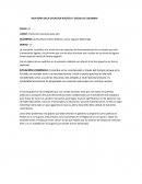 RELATORÍA DELA SITUACIÓN POLÍTICA Y SOCIAL DE COLOMBIA