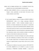 Demanda de ejecutivo de acción cambiaría