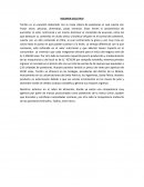 Trabajo el proyecto de negocio producto Panetón “TENTON”