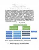 TRABAJO: Ordenamiento e ingeniería