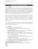 Guía de trabajo – Campaña: Día de la Mujer