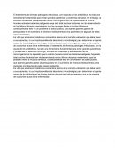 Resistencia bacteriana