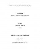 Propuesta de recuperación de cartera (SENA)