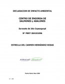 DECLARACION DE IMPACTO AMBIENTAL