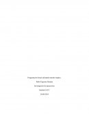 Programación lineal utilizando método simplex