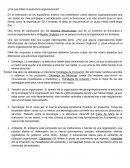 ¿Por qué difiere la estructura organizacional?