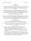 Aminoácidos ¿Qué son los aminoácidos?