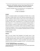 Evaluación del Penicillium citrinum Como Hongo Potencial en la Degradacion de Petroleo Refinado a Nivel de Laboratorio