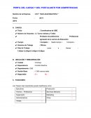 PERFIL DEL CARGO Y DEL POSTULANTE POR COMPETENCIAS