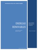 ENERGÍAS RENOVABLES ¿SON EL FUTURO DE LAS ENERGÍAS?