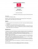 PRÁCTICA 10 Reacciones Ácido-base