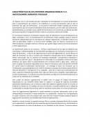 CARACTERÍSTICAS DE LOS ENTORNOS ORGANIZACIONALES Y LA INCERTIDUMBRE AMBIENTAL PERCIBIDA