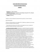 Procesos Psicológicos Básicos