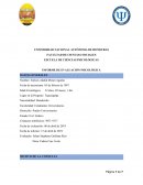 INFORME DE EVALUACIÓN PSICOLÓGICA