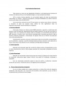 Flujo Productivo/Operacional