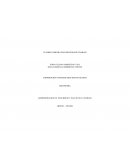 Administracion en seguridad y salud en el trabajo