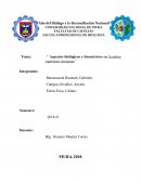 Aspectos biológicos y biométricos en Scomber japonicus peruanus