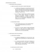 EJECUCION DEL TRABAJO DE AUDITORIA