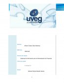 Sistemas de información para la Administración de Proyectos. INVESTIGACION