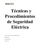 Técnicas y Procedimientos de Seguridad Eléctrica