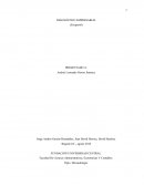 Casos gerenciales empresariales