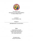 Practica n° DENSIDAD DE UNA SUSTANCIA