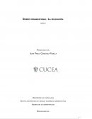 Diseño organizacional: La delegación