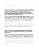 SINTESIS DIMENSIONES DEL SER HUMANO