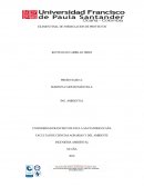 INGENIERIA AMBIENTAL OCAÑA