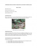 INFORMACION TECNICA DE SISTEMAS Y EQUIPOS PARA EL USO EFICIENTE Y AHORRO DEL AGUA