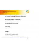 Mercadotecnia Internacional Publicidad