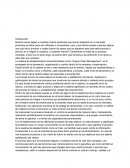 La cadena de abastecimiento Supply chain Management