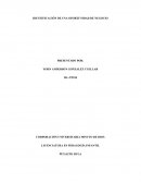 IDENTIFICACIÓN DE UNA OPORTUNIDAD DE NEGOCIO