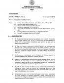 DIRECTRICES DE TRABAJO