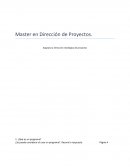 Análisis detallado del Plan para la Argentina 2010 -2014