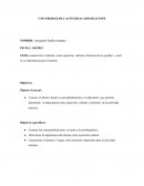 Caracterizar el idioma como expresión cultural e histórica de los pueblos y cuál es su importancia para el turismo