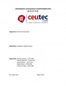 Concepto de sociedad anónima