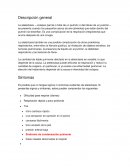 Descripción general. La atelectasia