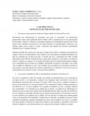 ESTRATEGIA DE PRECIOS DE LIDL