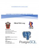 Ensayo Practica 3