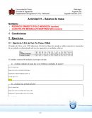Actividad 01 – Balance de masa